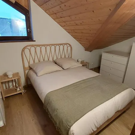 Les 2 Chamois - Duplex à Chamonix