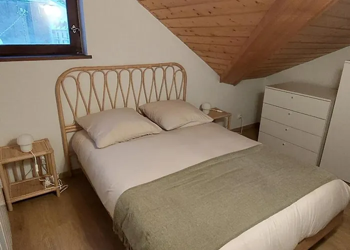 Les 2 Chamois - Duplex A Chamonix